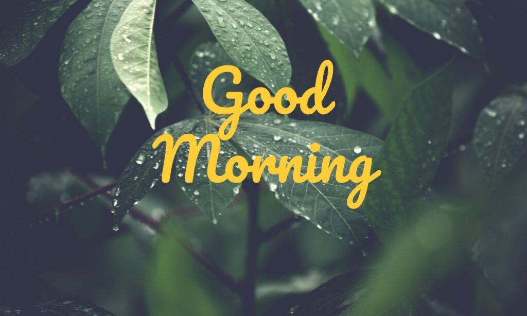 A Prayer for Monday and the Week Ahead