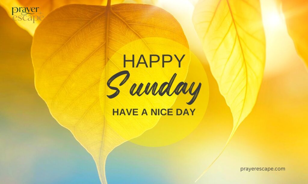 Happy Sunday Wishes
